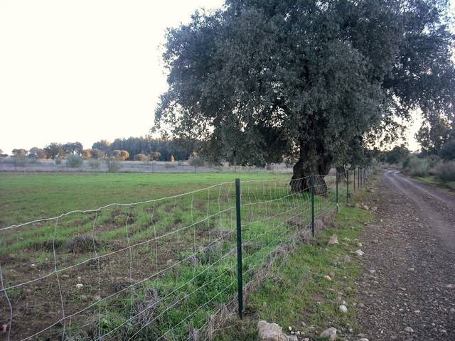 imagen 1 de Venta de finca agrícola en Campillo De Llerena. (Badajoz)