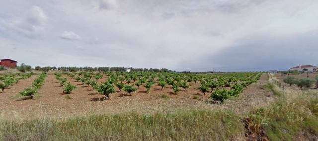 imagen 1 de Venta de Parcela agrícola en Fuente Del Maestre (Badajoz)