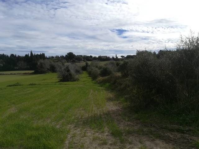 imagen 1 de Venta de terreno en Muro (Mallorca)