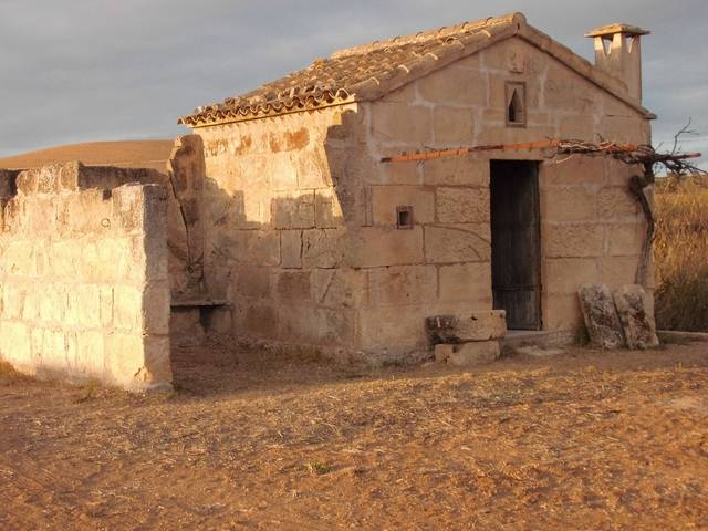 imagen 1 de Venta de finca con caseta y pozo en Petra (Mallorca)