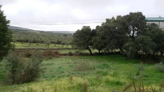 imagen 1 de Venta de parcela en Mohedas de Granadilla (Cáceres)