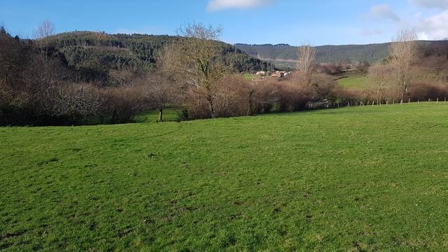 imagen 1 de Venta de magnífico prado en Castro Urdiales (Cantabria)