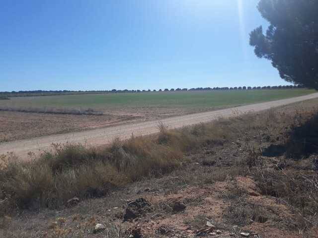 imagen 1 de Venta de terreno en Las Pedroñeras (Cuenca)