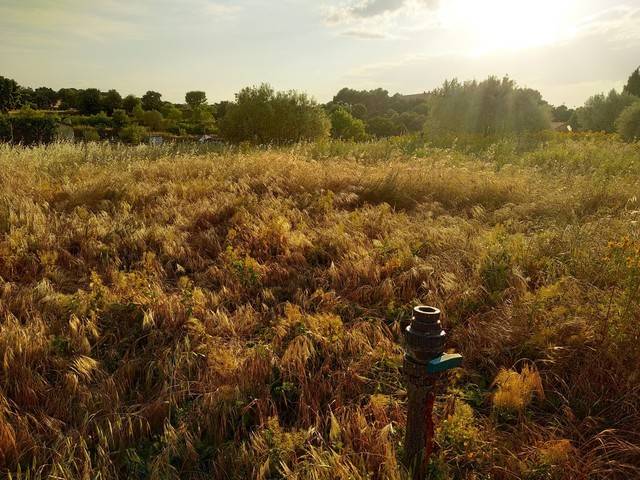 imagen 1 de Venta de preciosa finca en Barbastro (Huesca)