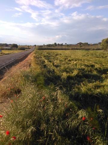 imagen 1 de Venta de terreno en Monzón (Huesca)