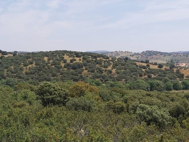 imagen 1 de Venta de terreno rústico en Aldeaquemada (Jaén)