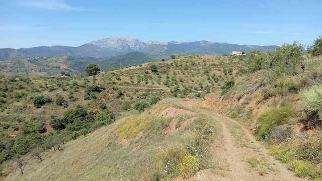 imagen 1 de Venta de terreno en Sierra de las Nieves (Málaga)