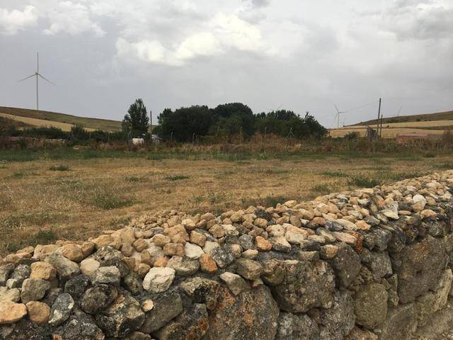 imagen 1 de Vendo terreno en Ampudia (Palencia)