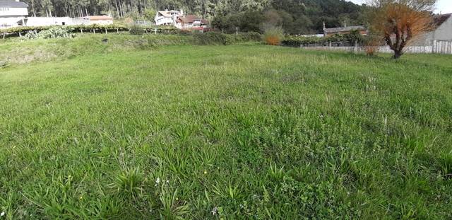 imagen 1 de Venta de terreno con viña en Mos (Pontevedra)