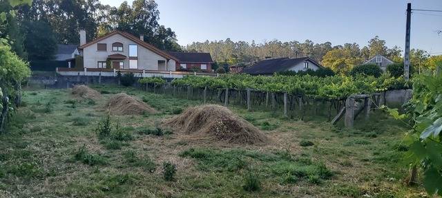 imagen 1 de Venta de terreno con viñedo en Ponteareas (Pontevedra)