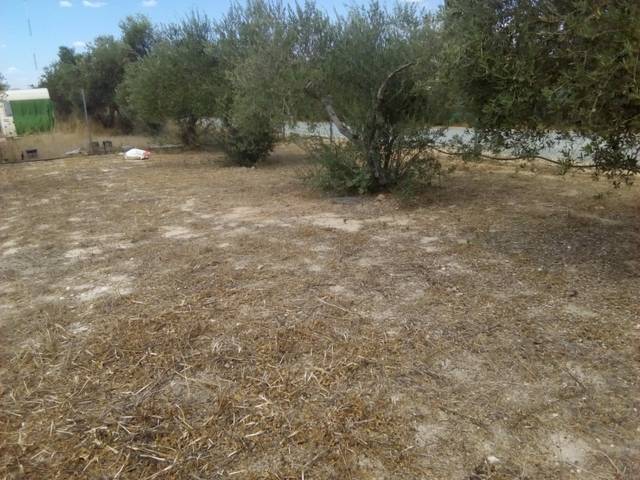 imagen 1 de Venta de terreno rústico en Los Palacios y Villafranca (Sevilla)