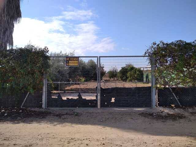 imagen 1 de Venta de parcela con olivos en Los Palacios