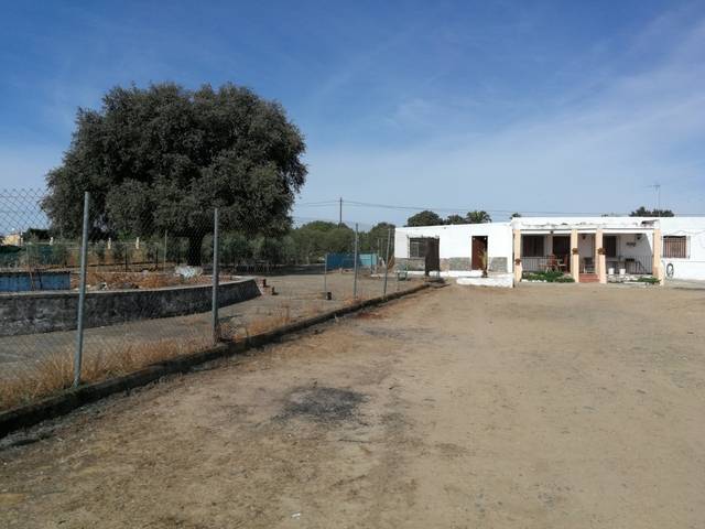 imagen 1 de Venta de parcela con casa y plaza de toros en Guillena
