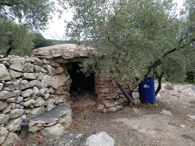imagen 1 de Venta de finca de olivos en La Senia