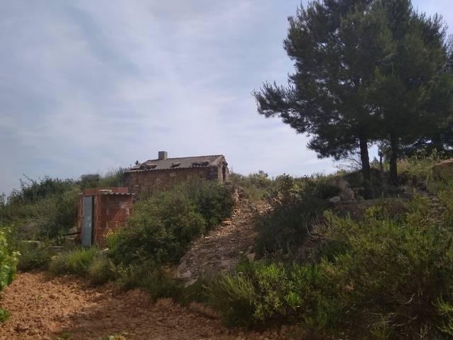 imagen 1 de Venta de terreno con viñedo en Batea (Tarragona)