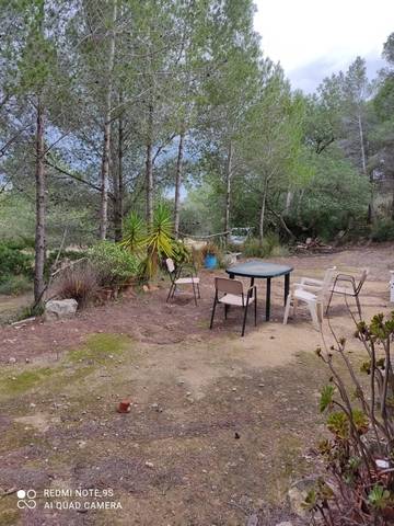 imagen 1 de Venta de finca de algarrobos y bosque en Vespella de Gaia (Tarragona)