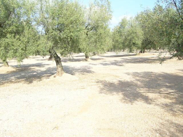 imagen 1 de Venta de terreno en La Galera (Tarragona)