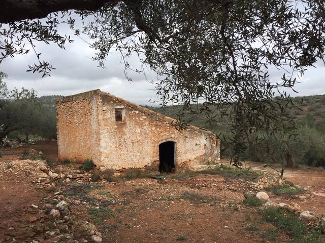 imagen 1 de Venta de finca con casa rural tradicional en L´Aldea (Tarragona)