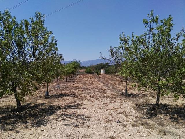 imagen 1 de Venta de terreno vallado de regadío en La Galera (Tarragona)