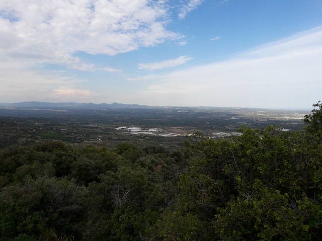 imagen 1 de Venta de finca en La selva del Camp (Tarragona)