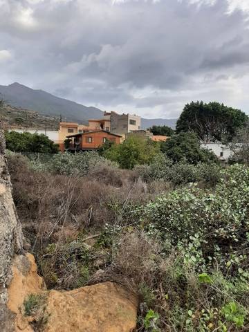 imagen 1 de Venta de parcela en Güímar (Tenerife)