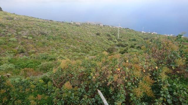 imagen 1 de Venta de terreno con casa de aperos en Mazo (Tenerife)