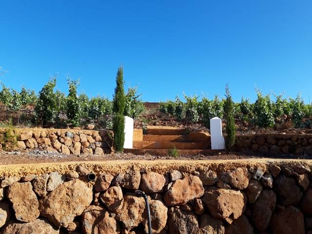 imagen 1 de Venta de finca con viñedos en Vilaflor (Tenerife)