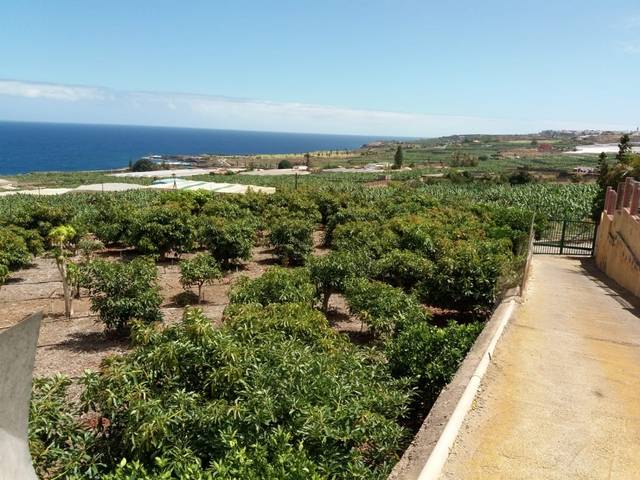 imagen 1 de Venta de finca con frutales en Buenavista del Norte (Tenerife)