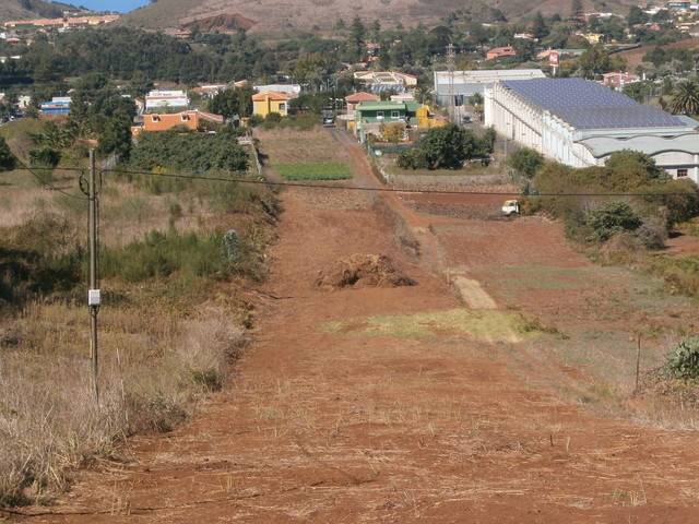 imagen 1 de Venta de terreno vallado con frutales en Tacoronte (Tenerife)