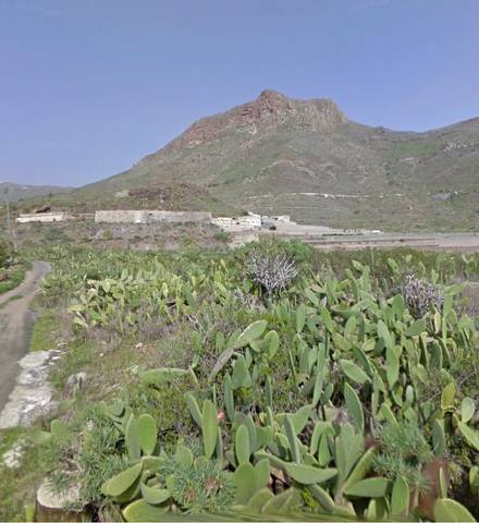 imagen 1 de Venta de finca rústica en Buzanda (Tenerife)
