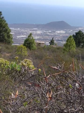 imagen 3 de Venta de finca rústica en Candelaria (Tenerife)