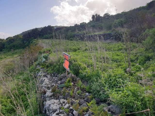 imagen 1 de Venta de terreno en Mazo (Tenerife)