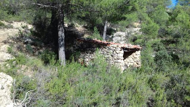 imagen 1 de Venta de finca con casa de aperos en Monroyo (Teruel)