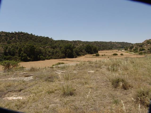imagen 1 de Venta de finca de caza mayor y menor y Alcañiz (Teruel)