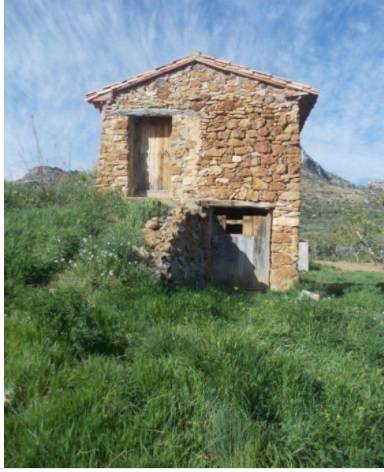 imagen 1 de Venta de olivar en Castellote (Teruel)