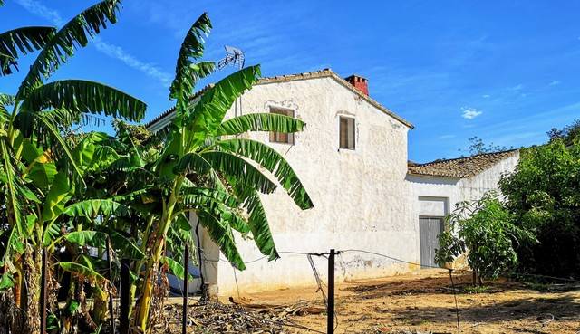 imagen 1 de Venta de finca de naranjos con casa rural en Valencia