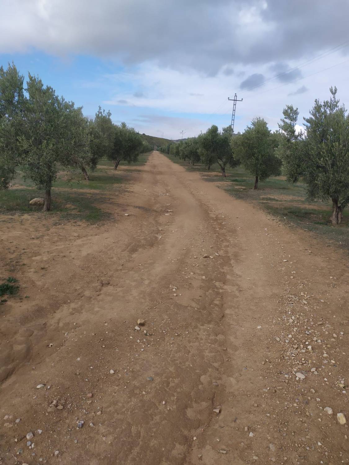 imagen 1 de Venta e finca olivar y calma riego en Dehesas de Guadix