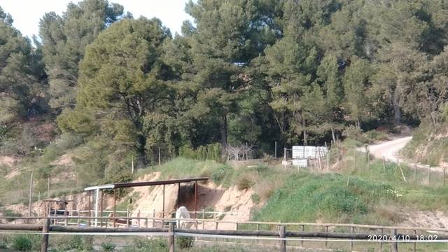 imagen 1 de Venta de finca ideal para hípica en Vilafranca del Penedés