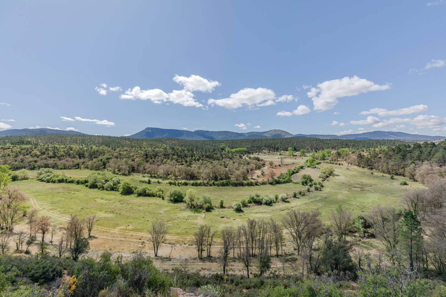 imagen 1 de Exclusiva finca de recreo y caza mayor, con casa de vanguardia