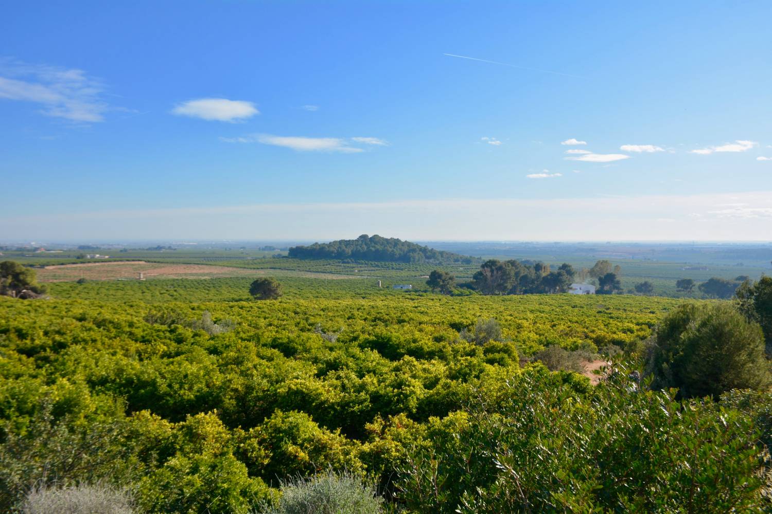 imagen 1 de Preciosa finca al Sur de Castellón