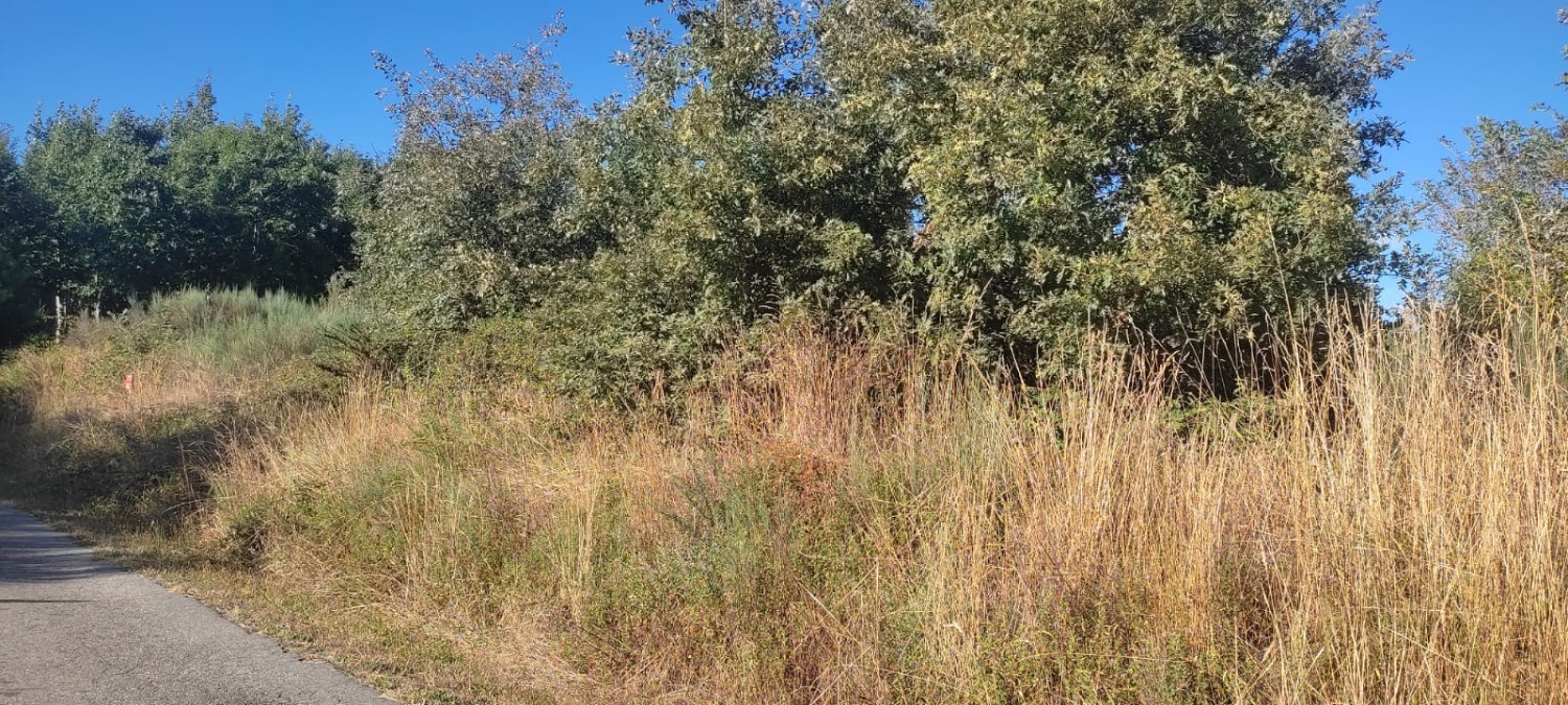 imagen 1 de Finca de 60 áreas en zona rural