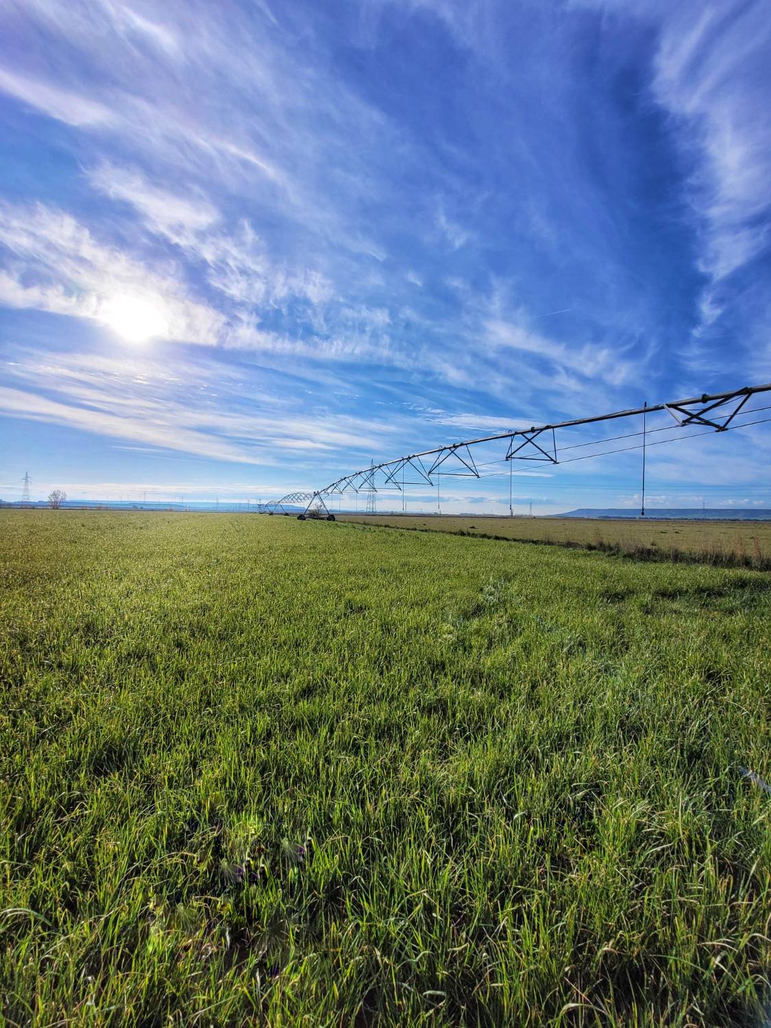 imagen 1 de Finca rústica de regadío con cultivo de trigo multiplicación, derechos de PAC y equipada con Pivot Sectorial instalado en 2022 con generador integrado.