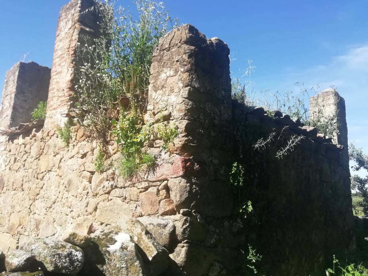 imagen 1 de PRADO en las faldas de Sierra de Montánchez