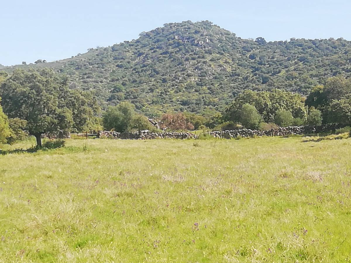 imagen 1 de Prado en las faldas de Sierra de Montánchez