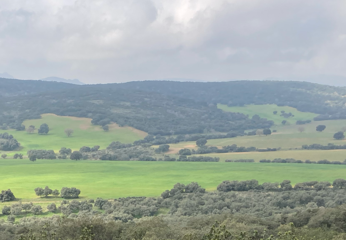 imagen 1 de Finca de caza y recreo