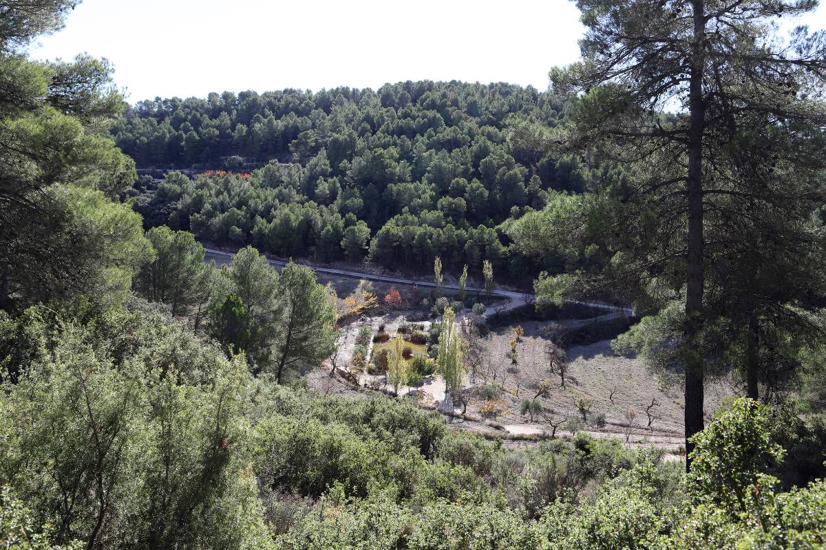 imagen 1 de FINCA PENICHET