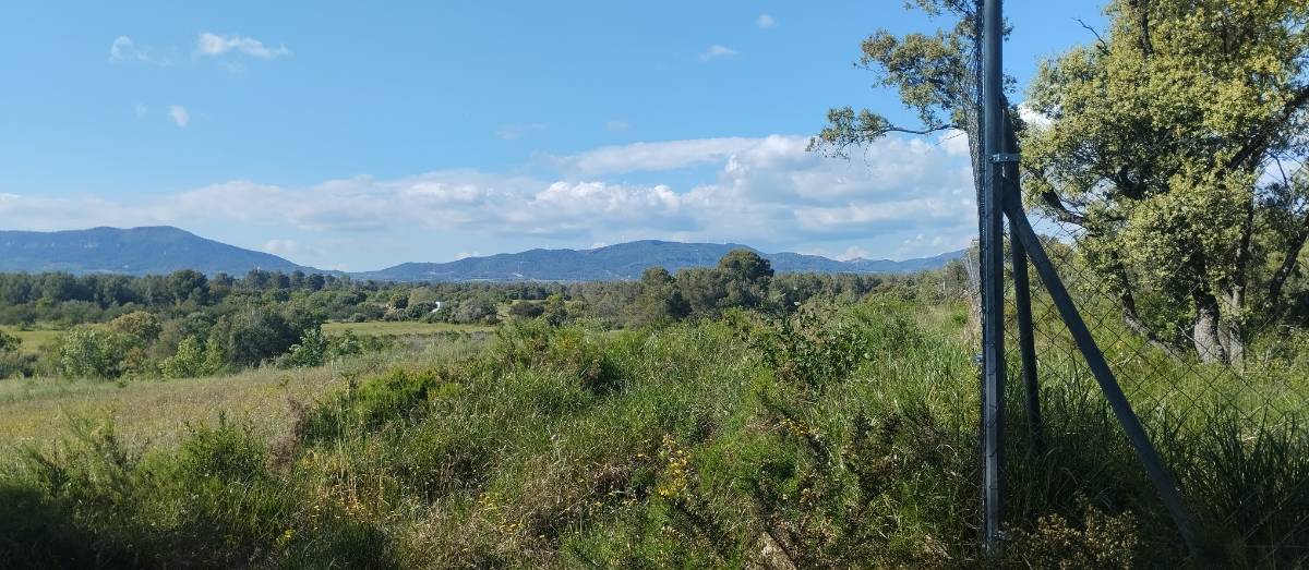 imagen 1 de Finca agrícola en alquiler