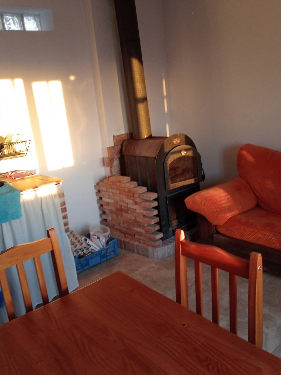 imagen 1 de Casa de 80m2 y 2,5 ha de olivar y frutales en producción ecológica