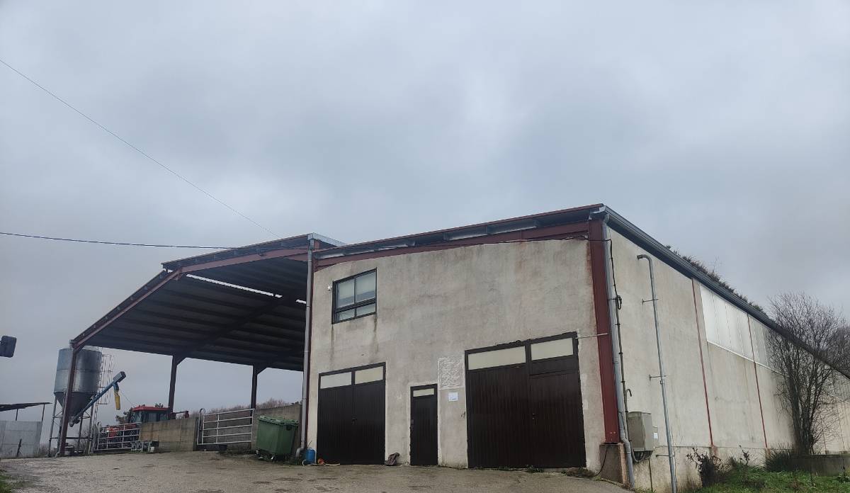 imagen 1 de Nave gandera