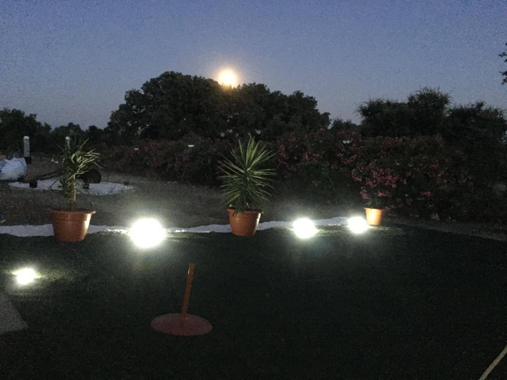 imagen 13 de FINCA RUSTICA 142HA